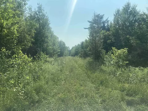 County Line, Other, MI 49952 photo 3