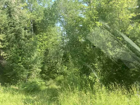 County Line, Other, MI 49952 photo 5