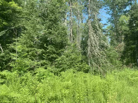 County Line, Other, MI 49952 photo 4