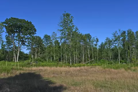 Parcel G F-30, Greenbush, MI 48738