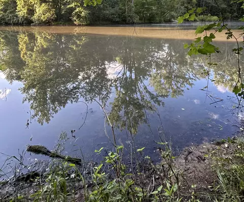 0 Whitetail #LOT : 165, West Branch, MI 48661