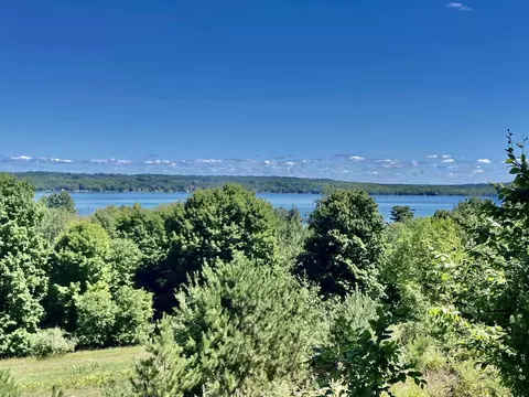 00 S Lake Shr, Cedar, MI 49621