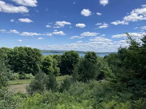 00 S Lake Shr, Cedar, MI 49621 photo 2