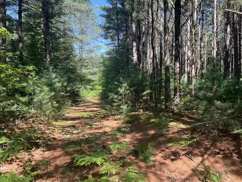 1681 SEast, Fife Lake, MI 49633