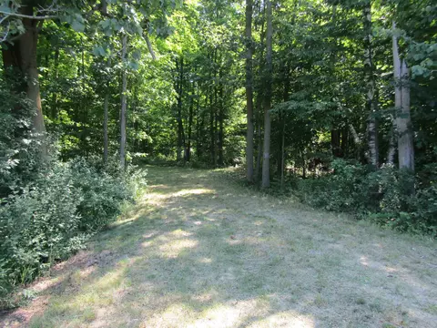 00 _vl Morrison, West Branch, MI 48661