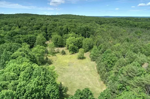 37 7 Acres Miller, Thompsonville, MI 49683