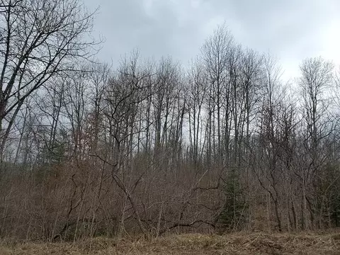0 Everitt, Hale, MI 48739 photo 4