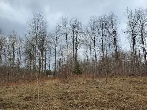 0 Everitt, Hale, MI 48739