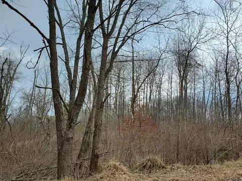 0 Everitt, Hale, MI 48739 photo 3