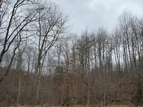 0 Everitt, Hale, MI 48739 photo 5