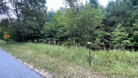 V/l Orchard Hill, Bellaire, MI 49615