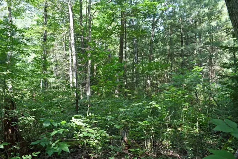 123 S Pinetree, Greenbush, MI 48738