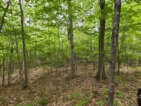 0 Reynolds, Interlochen, MI 49643 photo 8