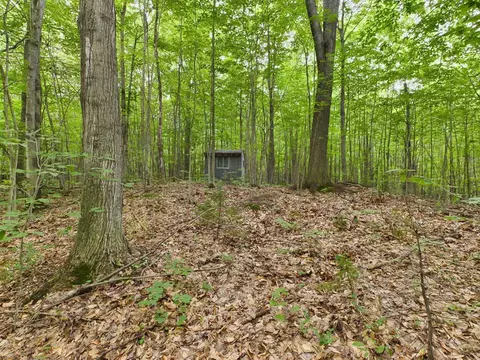0 Reynolds, Interlochen, MI 49643 photo 5