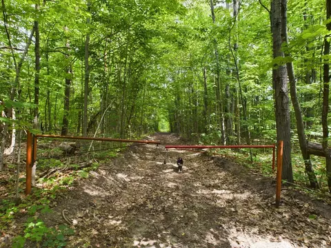 0 Reynolds, Interlochen, MI 49643 photo 20