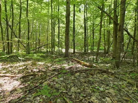 0 Reynolds, Interlochen, MI 49643 photo 16