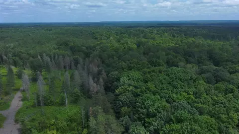 0 Reynolds, Interlochen, MI 49643 photo 2