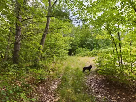 0 Reynolds, Interlochen, MI 49643