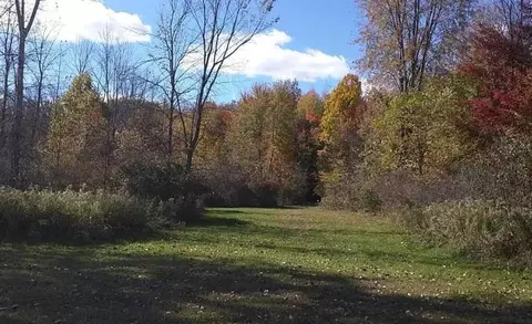 0 Vl Laird Lk, Hale, MI 48739