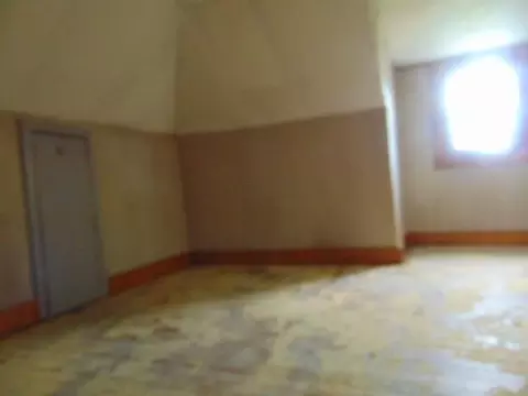 Other - 6505 E Fremont, Shepherd, MI 48883 photo 6 of 7