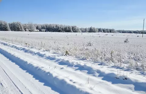 H Summit City, Kingsley, MI 49649