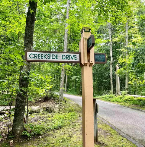 V/l 29 Creekside, Bellaire, MI 49615