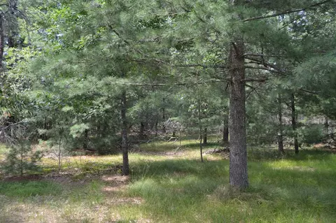 Par C E Higgins Lake, Roscommon, MI 48653 photo 4