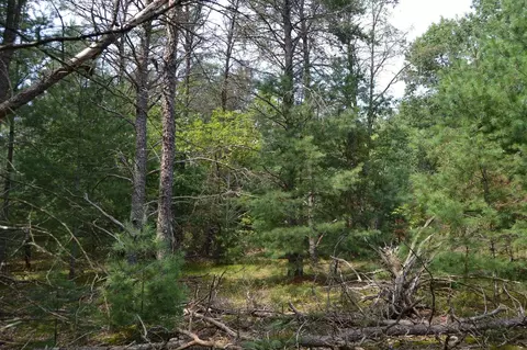Par C E Higgins Lake, Roscommon, MI 48653 photo 6