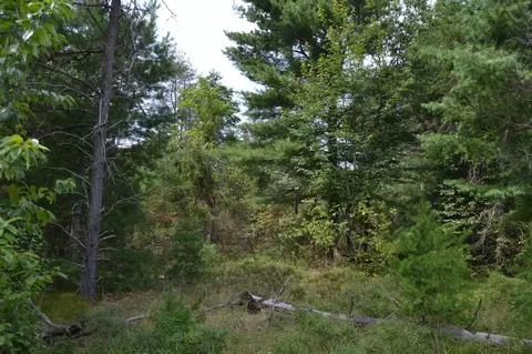 Par C E Higgins Lake, Roscommon, MI 48653 photo 7