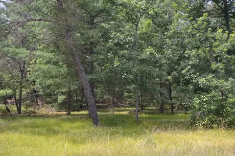 Par C E Higgins Lake, Roscommon, MI 48653