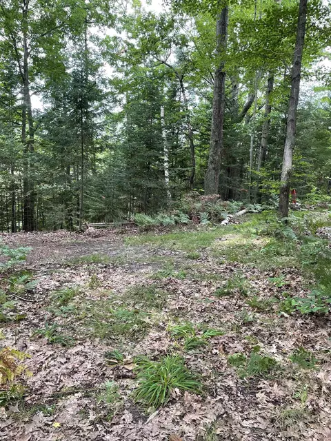 0 Oak #LOT : 56-57, Hale, MI 48739