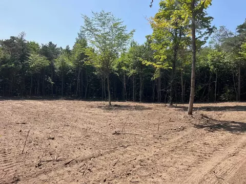 06 S Bright #LOT : 6, Maple City, MI 49664