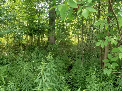 Na E Huron, Au Gres, MI 48703