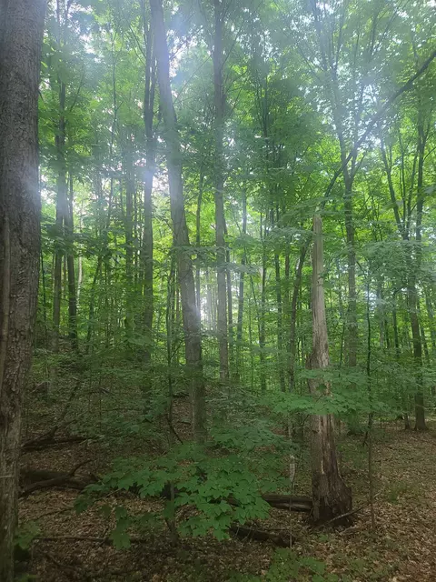 0000 Trail 29, Rapid City, MI 49676