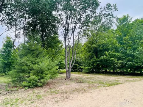 1 Del Mason, Bellaire, MI 49615