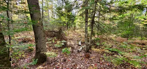 tbd Merwin Crk, Manistique, MI 49854