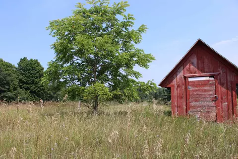 m Michigan 186, Fife Lake, MI 49633