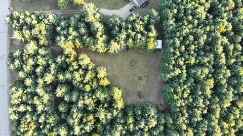 2802 Algonquin, Interlochen, MI 49643 photo 9