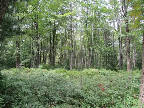 00 Duby #PARCEL C-4, Tawas City, MI 48763