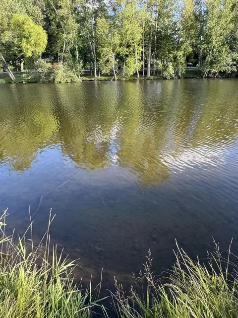 1012 Southport #1073 BUNDY DRIVE, Lake Isabella, MI 48858