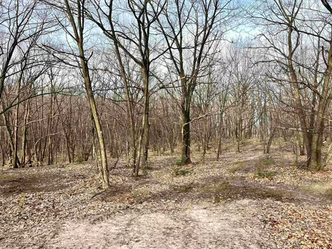 parcel e trumbull LOT : E, Maple City, MI 49664 photo 7