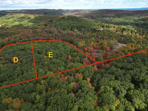 parcel e trumbull LOT : E, Maple City, MI 49664 photo 3