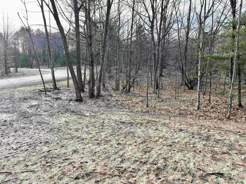 parcel e trumbull LOT : E, Maple City, MI 49664 photo 4
