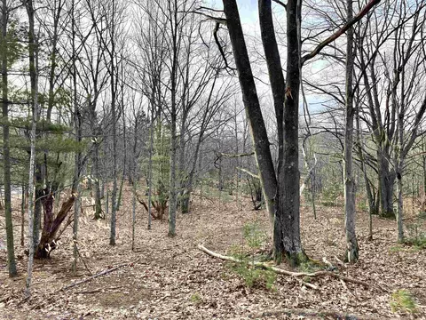 parcel e trumbull LOT : E, Maple City, MI 49664 photo 10