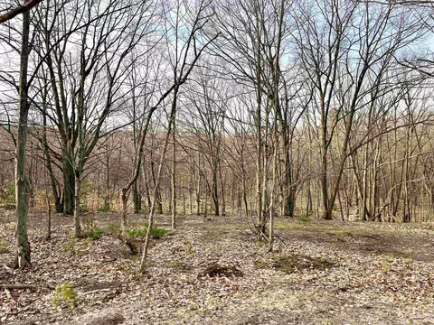 parcel e trumbull LOT : E, Maple City, MI 49664 photo 9
