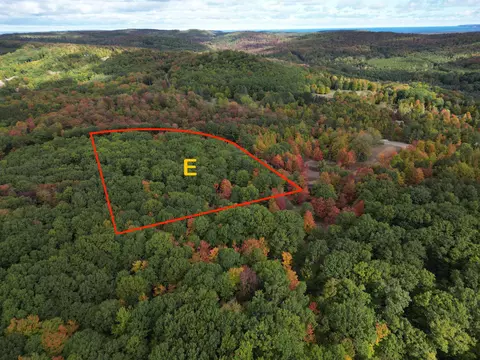 parcel e trumbull LOT : E, Maple City, MI 49664 photo 8