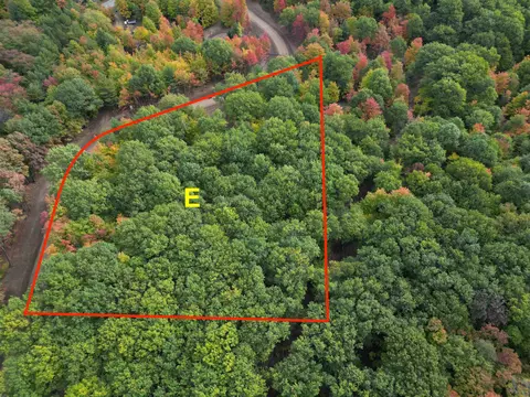 parcel e trumbull LOT : E, Maple City, MI 49664