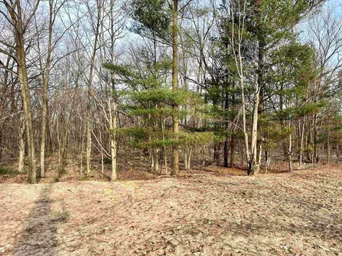 parcel e trumbull LOT : E, Maple City, MI 49664 photo 12