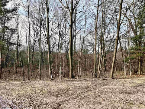parcel e trumbull LOT : E, Maple City, MI 49664 photo 15