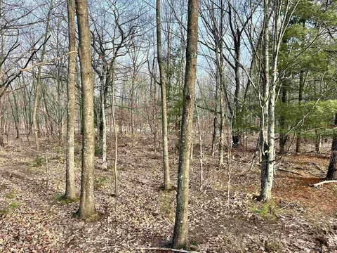 parcel e trumbull LOT : E, Maple City, MI 49664 photo 6